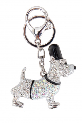 FASHION JEWELRY 