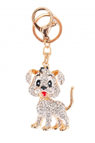 Fashion JEWELRY 