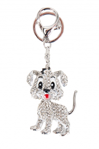 Fashion JEWELRY 
