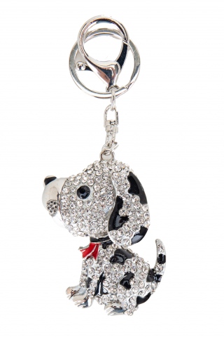 Fashion JEWELRY 