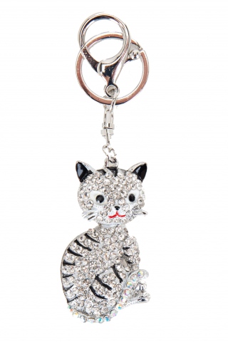 Fashion JEWELRY 