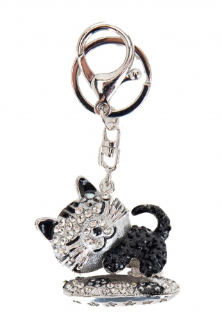 Fashion JEWELRY 